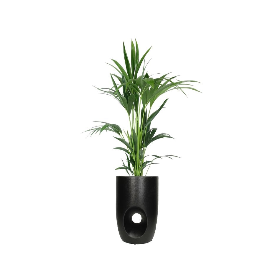 Design  pot  - Black - H 34 cm