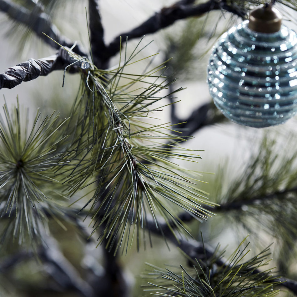 Spar / Kerstboom Peuce - Groen