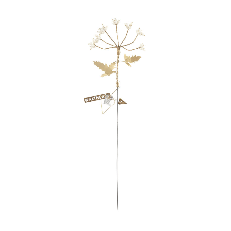 Witte kraaltjes bloem - Goud