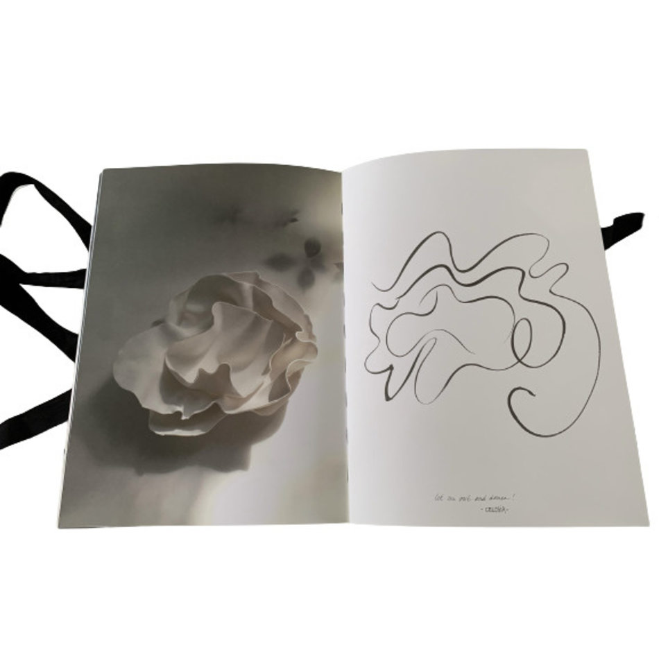 Table art Book First Sun - Roos van de Velde