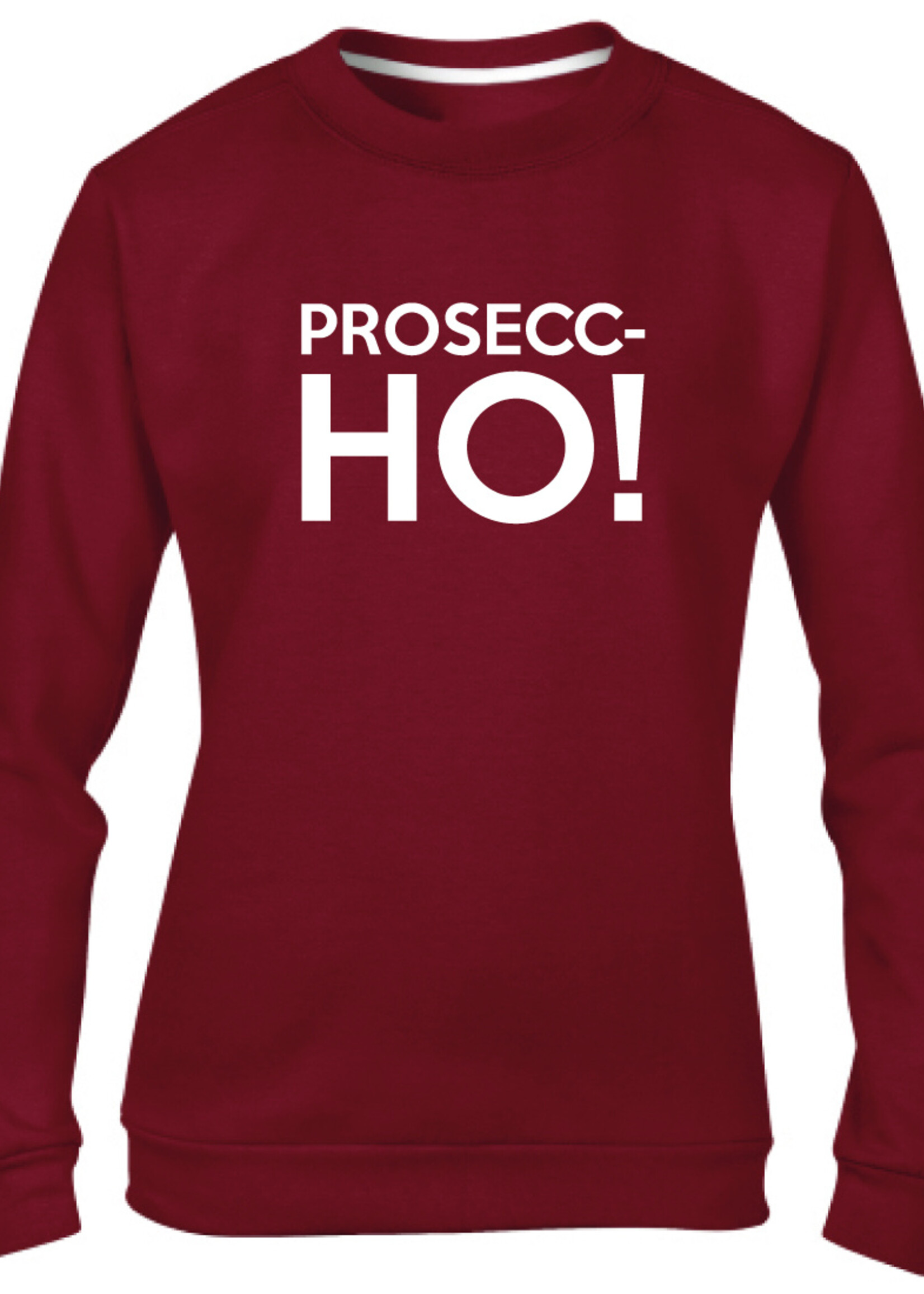 PROSSEC-HO SWEATER (WMN)