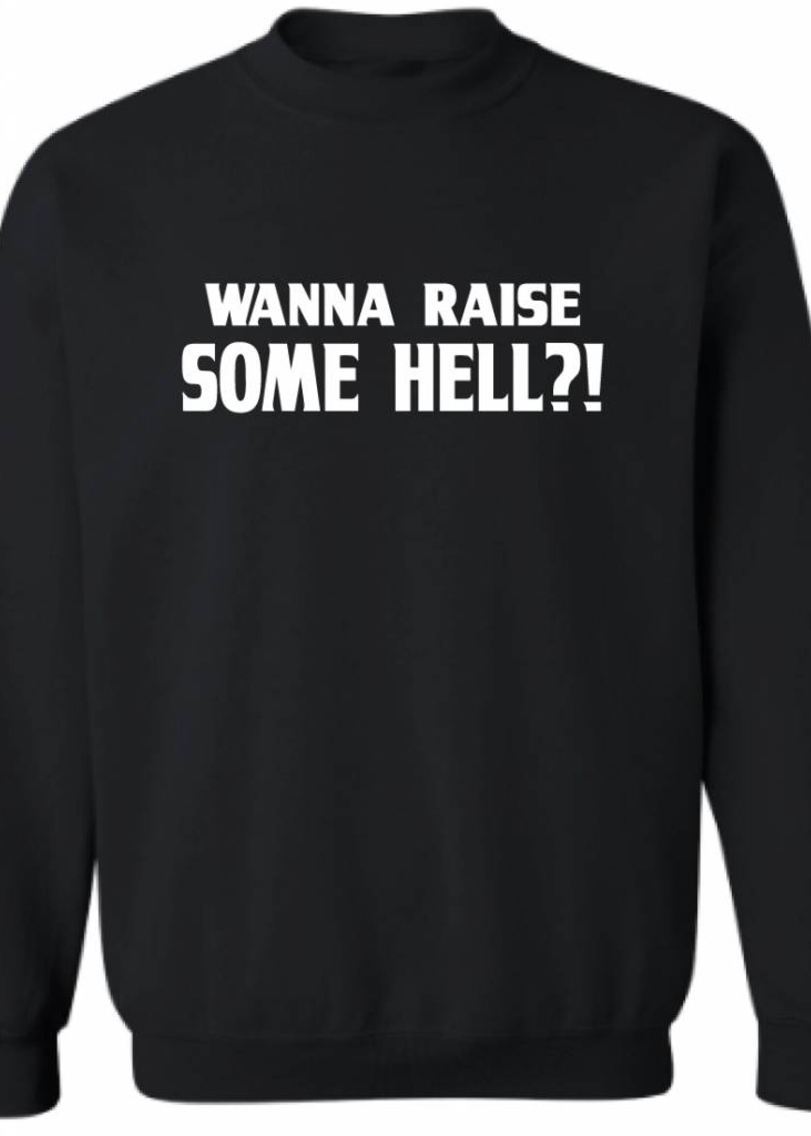 WANT TO RAISE SOME HELL? SWEATER (MEN)