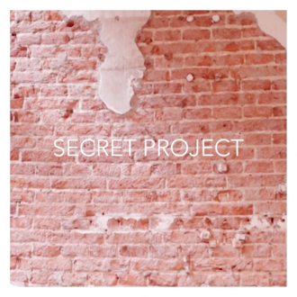 GEHEIM PROJECT - WAT ZIJN WE VAN PLAN?