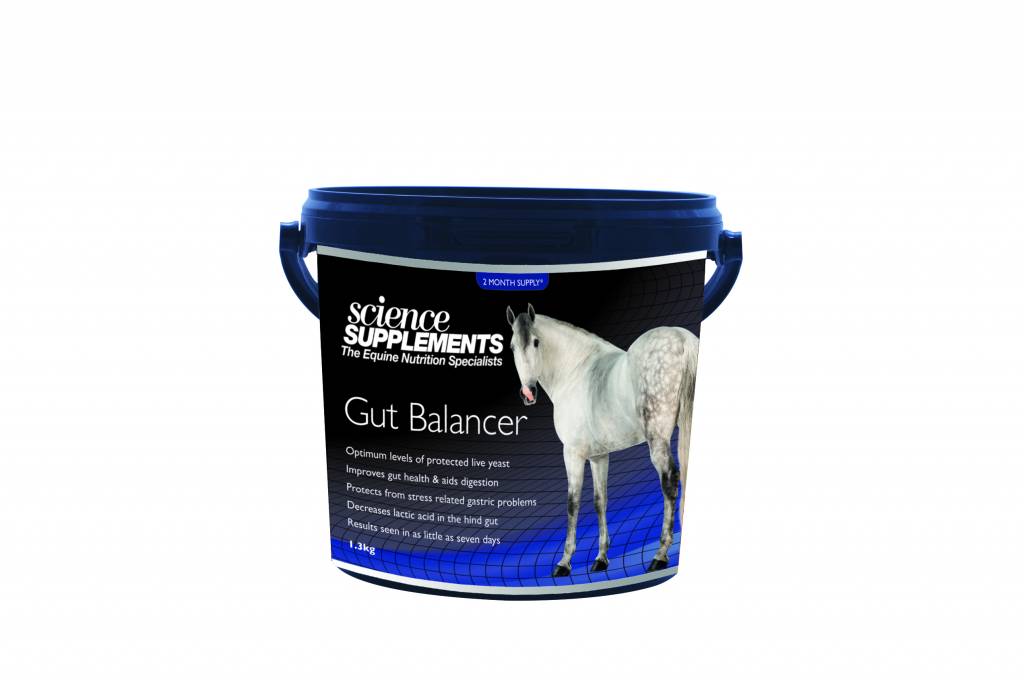Gut Balancer voor paarden met een optimale darmflora Horsepax