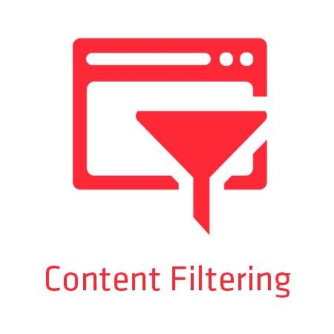 ZyXEL E-iCard Content Filtering 2.0, 1 jaar VPN100