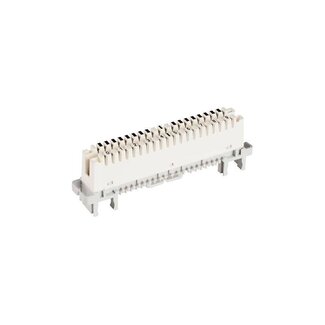 Cable Telco 2xRJ-21/Male/180º/5 Krone strips 10 pair - 2mtr