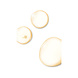 SkinCeuticals Phloretin CF SkinCeuticals Phloretin CF