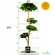 Artificial Pinus Bonsai x4 levels 180 cm UV Artificial Pinus Bonsai x4 levels 180 cm UV