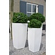 Kunst Buxus Bol 50 cm UV Kunst Buxus Bol 50 cm UV