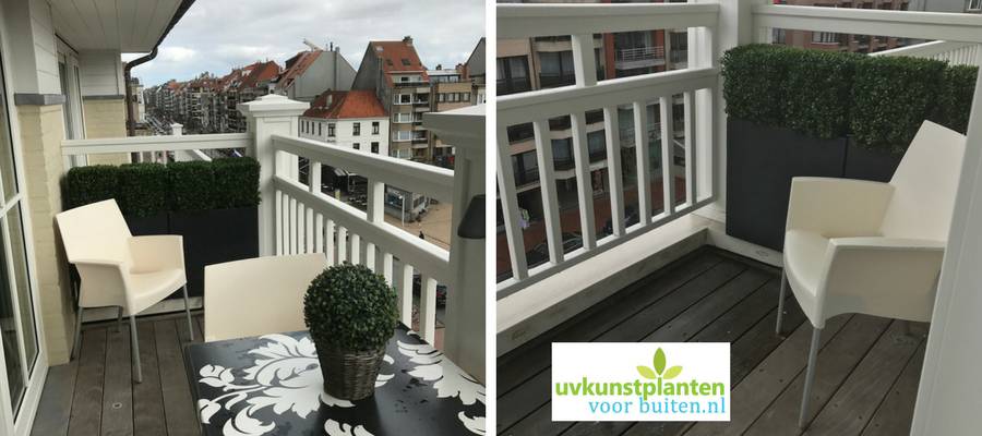 Kunst buxus voor buiten Kunst buxus voor buiten