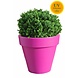 Artificial outdoor Deluxe Boxwood Ball 60 cm UV protected Artificial outdoor Deluxe Boxwood Ball 60 cm UV protected