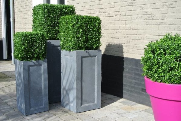 Artificial outdoor Boxwood square 50 cm UV protection