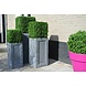 Artificial outdoor Boxwood square 50 cm UV protection Artificial outdoor Boxwood square 50 cm UV protection