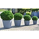 Artificial outdoor Boxwood Ball 80 cm UV protected Artificial outdoor Boxwood Ball 80 cm UV protected
