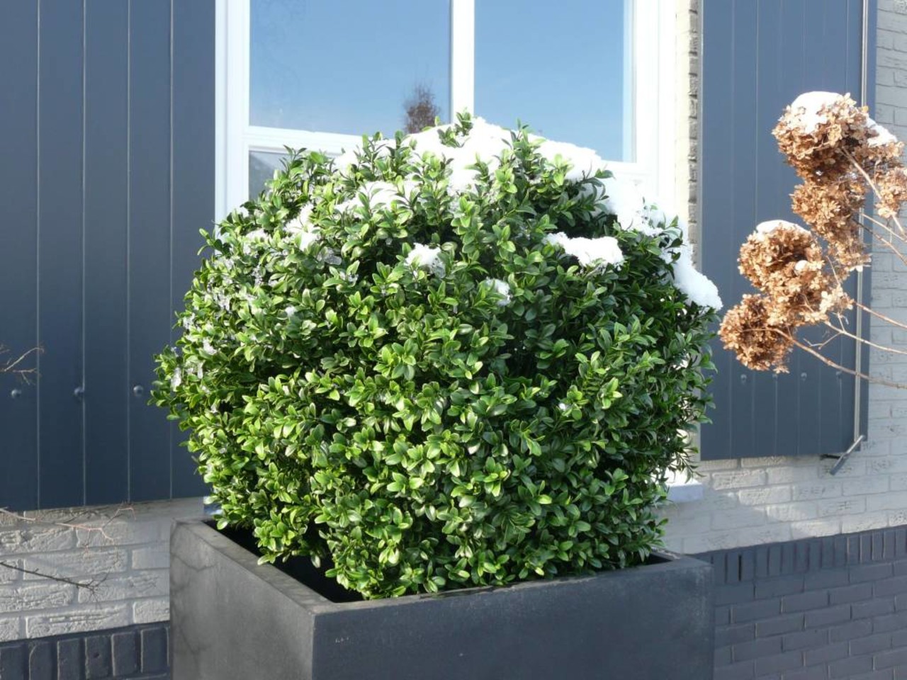 Outdoor Artificial Boxwood 40 cm Ball UV protected Outdoor Artificial Boxwood 40 cm Ball UV protected