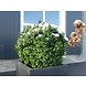 Outdoor Artificial Boxwood 40 cm Ball UV protected Outdoor Artificial Boxwood 40 cm Ball UV protected