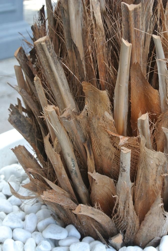 Artificial outdoor Phoenix palm tree170 cm UV protected Artificial outdoor Phoenix palm tree170 cm UV protected