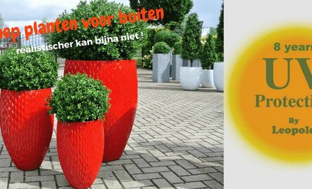 Nep planten voor buiten