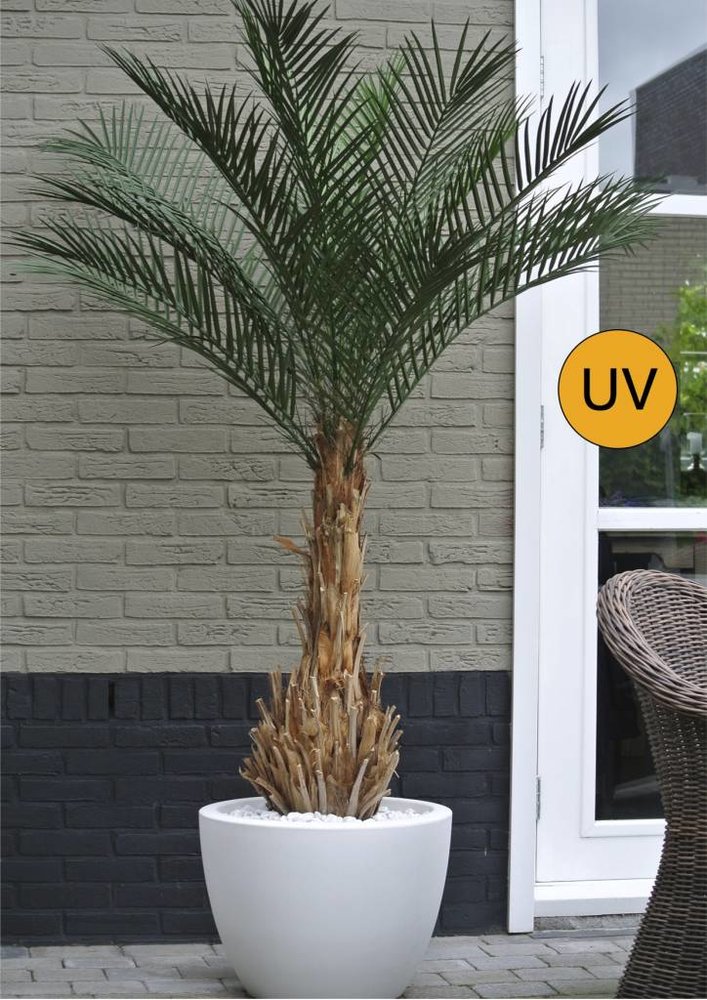 UV Kunstpalm Phoenix 170