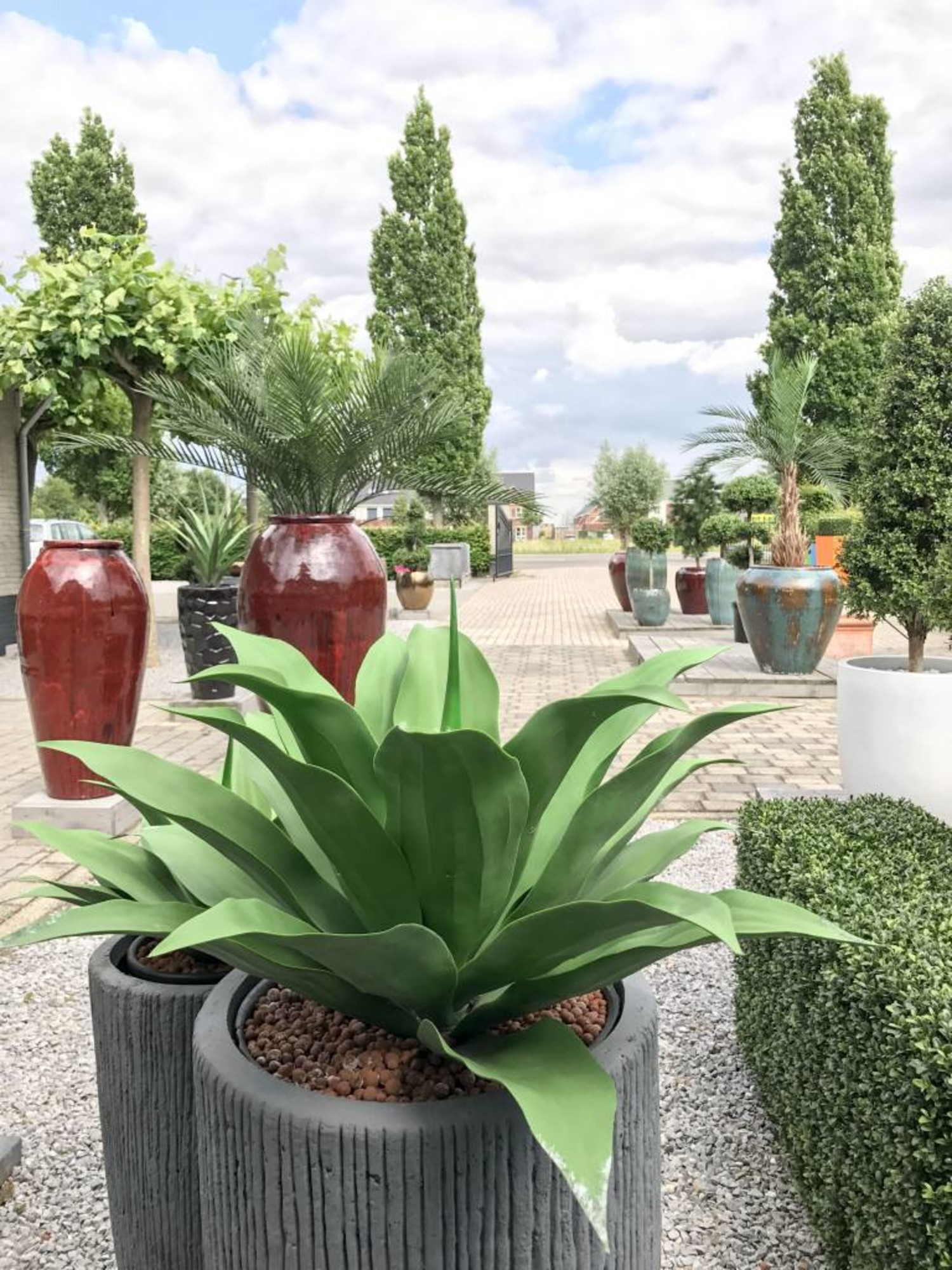Outdoor Artificial Agave plant, 8year Colour Guarantee LeopoldFlora