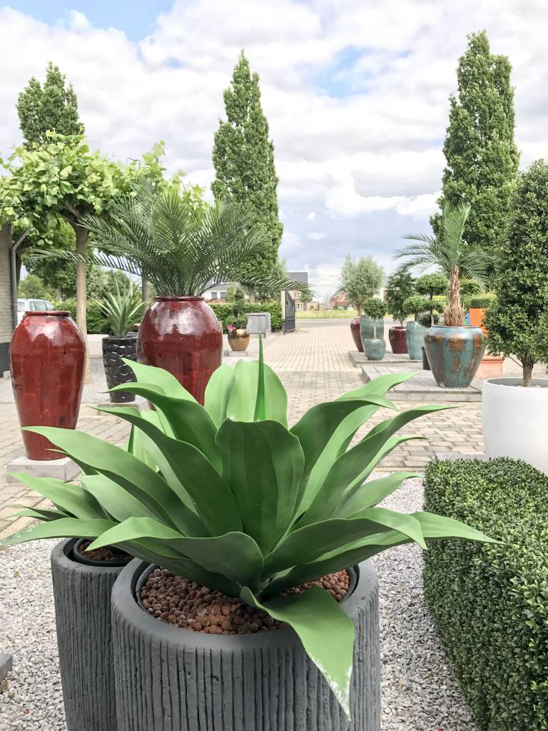 Outdoor artificial Agave with 8 year colour guarantee LeopoldFlora