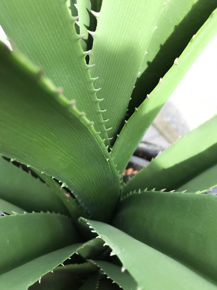 Outdoor Artificial Screwpine plant 140 cm UV protected Outdoor Artificial Screwpine plant 140 cm UV protected