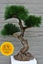 UV Kunstplant Bonsai Pinus 60 cm voor Buiten UV Kunstplant Bonsai Pinus 60 cm voor Buiten