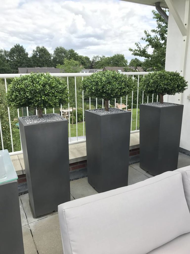 Kunstplant Buxus 1/2 bol 65 cm UV Kunstplant Buxus 1/2 bol 65 cm UV