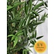 Artificial outdoor Bamboo plant 60 cm UV-protected Artificial outdoor Bamboo plant 60 cm UV-protected