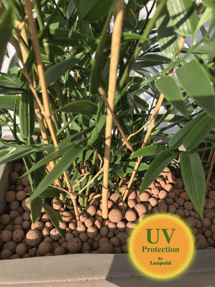 Artificial outdoor Bamboo plant 90 cm UV-protected Artificial outdoor Bamboo plant 90 cm UV-protected