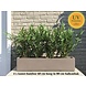 Namaak Bamboe 60 cm UV voor Buiten Namaak Bamboe 60 cm UV voor Buiten