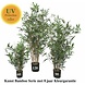 High Artificial outdoor Bamboo plant 120 cm UV-protected High Artificial outdoor Bamboo plant 120 cm UV-protected