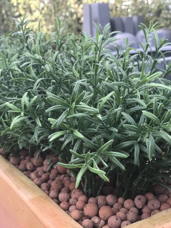 Artificial outdoor Rosemary branch 40 cm UV protected