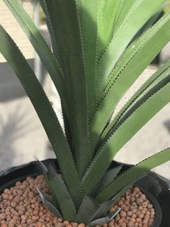 Artificial Outdoor Pineapple Plants