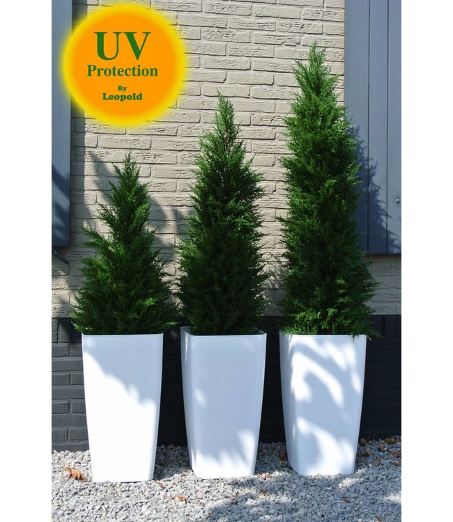 Outdoor artificial Conifer tree of LeopoldFlora LeopoldFlora