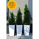 Outdoor Artificial Conifer tree 100 cm UV protected Outdoor Artificial Conifer tree 100 cm UV protected