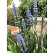 Blauw bloeiende lavendel kunstbloemen in boeketvorm voor buiten Blauw bloeiende lavendel kunstbloemen in boeketvorm voor buiten