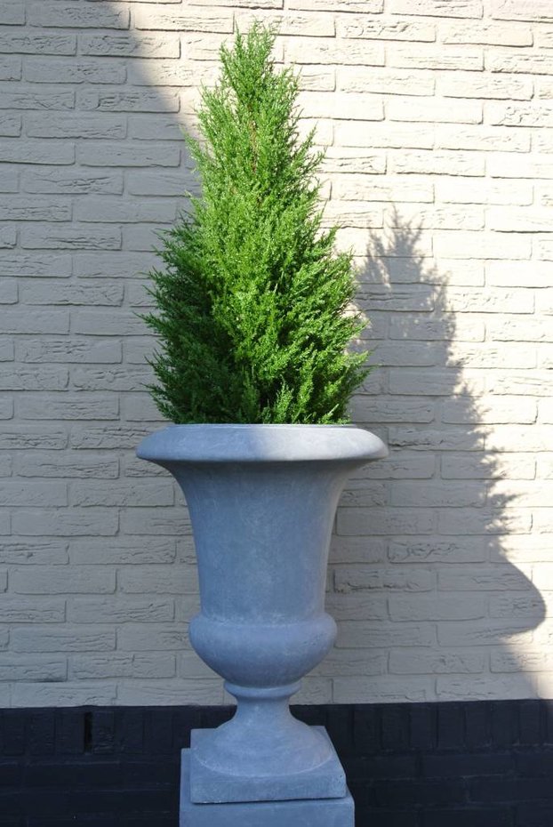 Artificial Conifer tree for extensive outdoor use LeopoldFlora