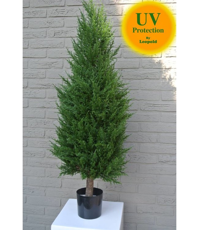 Outdoor artificial Conifer tree of LeopoldFlora LeopoldFlora