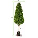 Kunst Buxus Pyramide 140 cm voor buiten met uv protectie Kunst Buxus Pyramide 140 cm voor buiten met uv protectie