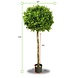 Artificial outdoor Boxwood ball on trunk 110 cm UV protected Artificial outdoor Boxwood ball on trunk 110 cm UV protected