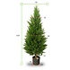 Outdoor Artificial Conifer tree 120 cm UV protection Outdoor Artificial Conifer tree 120 cm UV protection