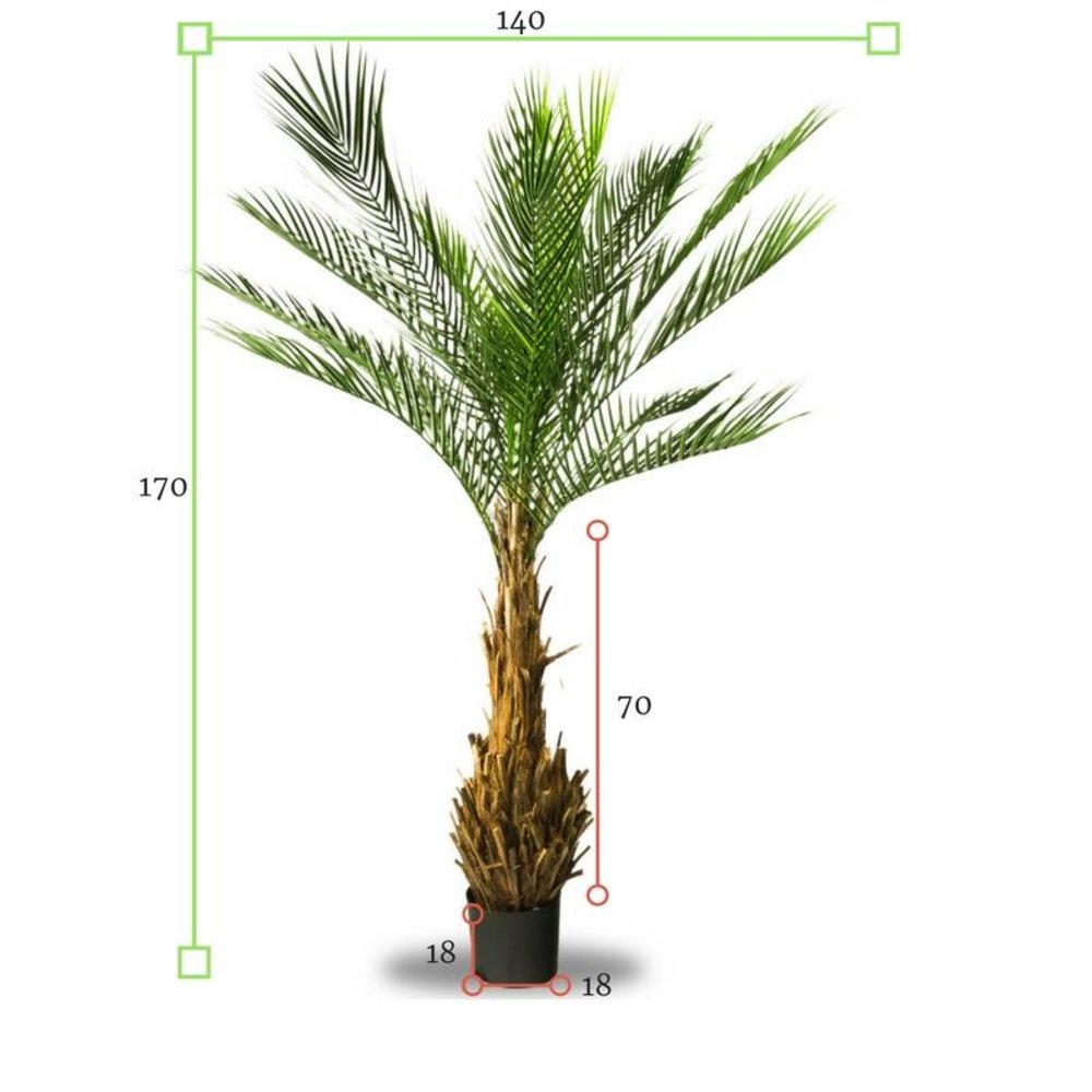 UV Kunstpalm Phoenix 170
