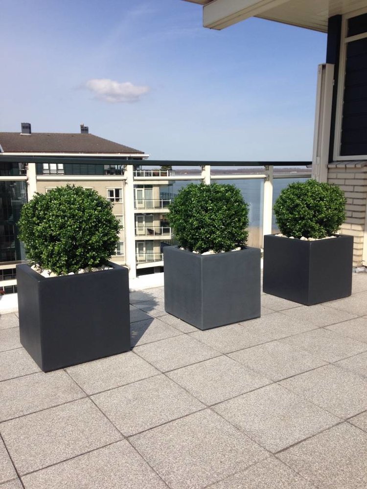 Artificial outdoor Boxwood ball 50 cm UV protected