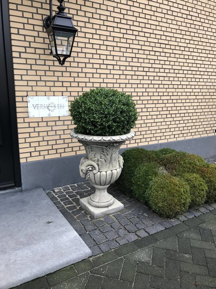Grote Kunst Buxus Bol 80 cm UV Grote Kunst Buxus Bol 80 cm UV