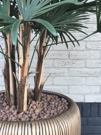 Buitenpalm Rhapis kunststof 110cm UV Buitenpalm Rhapis kunststof 110cm UV
