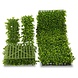 Outdoor artificial Boxwood corner x100 tips for fixing on 140 mat UV protected Outdoor artificial Boxwood corner x100 tips for fixing on 140 mat UV protected