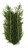Artificial Conifer corner x27 UV
