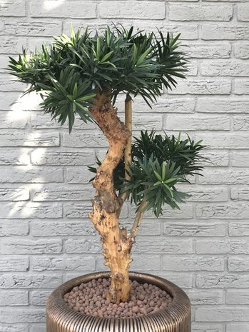 Design Kunstplant Podocarpus 70 cm UV Design Kunstplant Podocarpus 70 cm UV