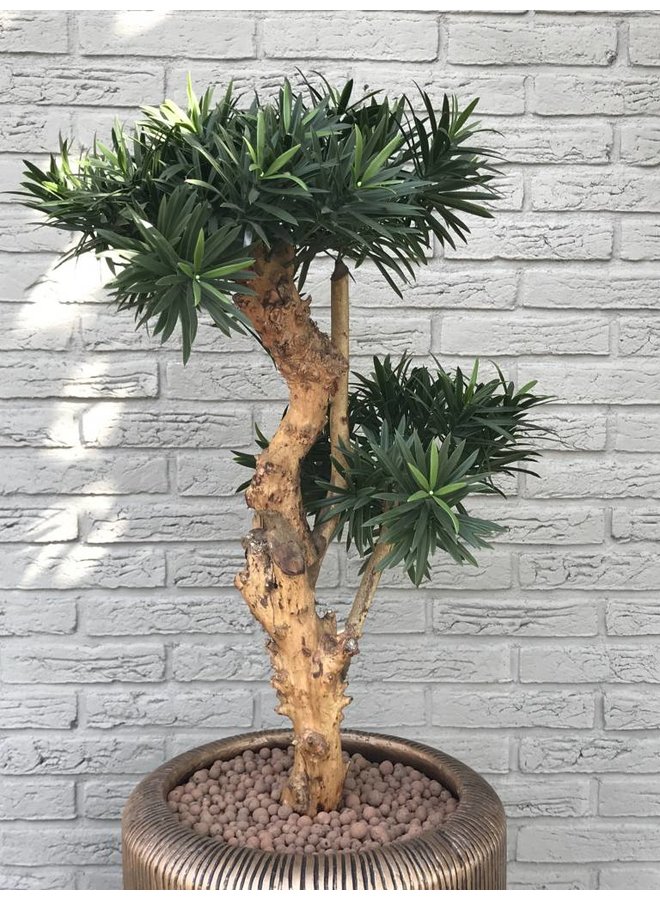 Design Kunstplant Podocarpus 70 cm UV